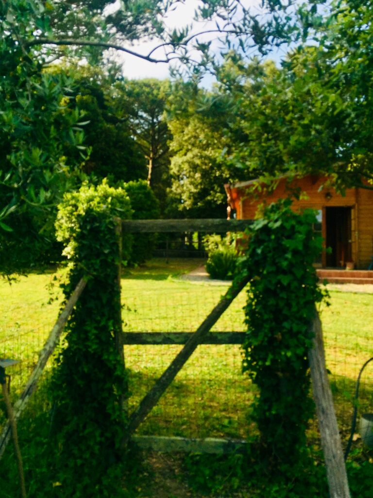 Ingresso verde di LaCastellina15