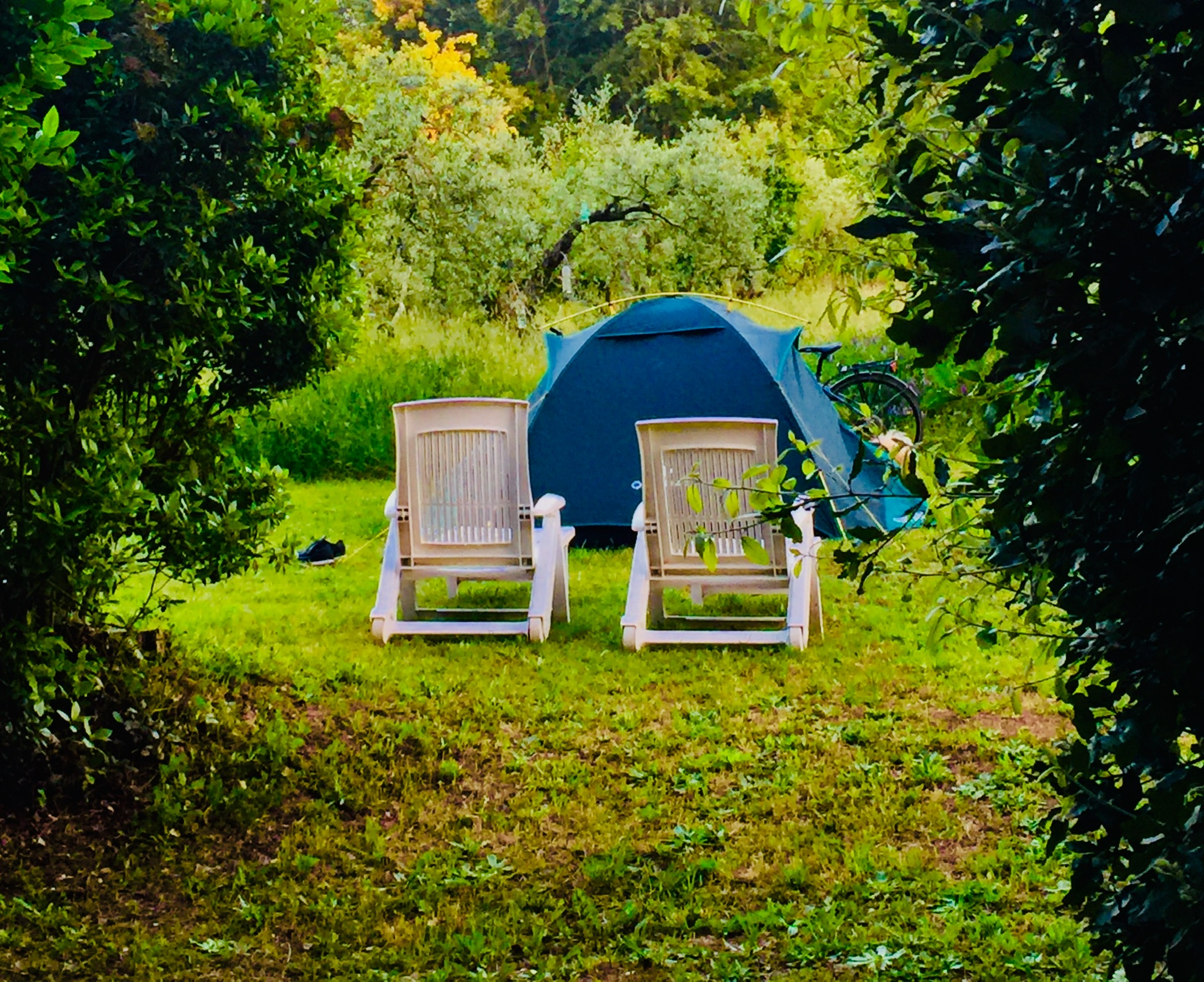 Tenda nel verde